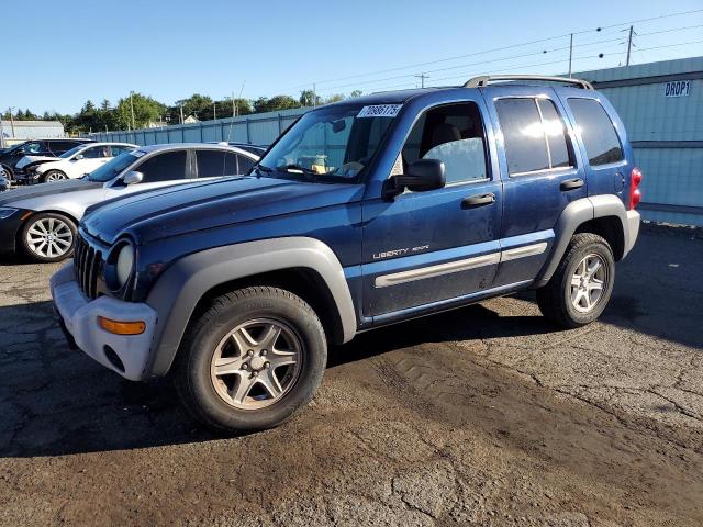 JEEP LIBERTY SP 2002 with VIN 1J4GL48K62W352321 - Photo from auction