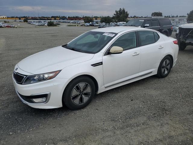 KIA OPTIMA HYB 2012 with VIN KNAGM4AD8C5036034 - Photo from auction