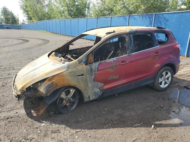 FORD ESCAPE SE 2014 with VIN 1FMCU0G99EUC63024 - Photo from auction