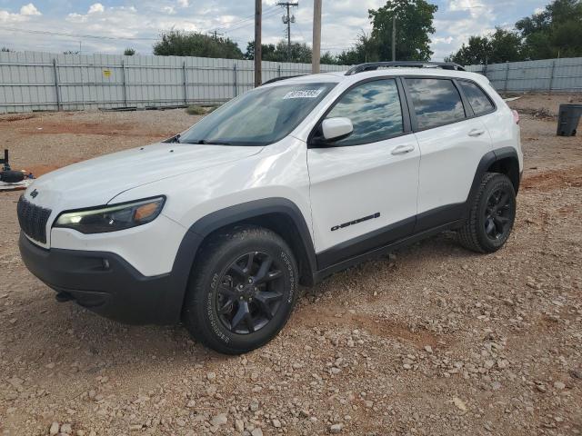 JEEP CHEROKEE L 2019 with VIN 1C4PJMCXXKD435552 - Photo from auction