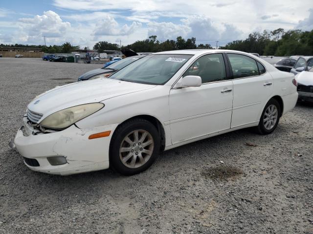 LEXUS ES 330 2004 with VIN JTHBA30G445033630 - Photo from auction