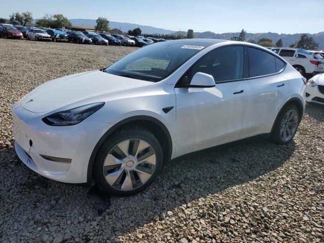TESLA MODEL Y 2023 with VIN 7SAYGDEE0PA128681 - Photo from auction