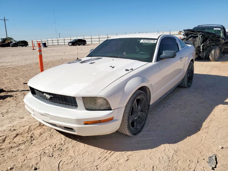FORD MUSTANG 2007 with VIN 1ZVFT80N875288095 - Photo from auction