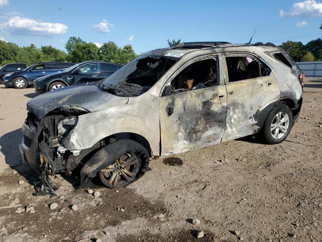 CHEVROLET EQUINOX LT 2011 with VIN 2CNALDEC7B6470411 - Photo from auction
