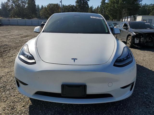 Photo 5 from auction – 2023 TESLA MODEL Y with VIN 7SAYGDEE9PA073454