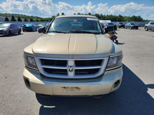 Photo 5 from auction – 2011 DODGE DAKOTA SLT with VIN 1D7RW3GP3BS510771