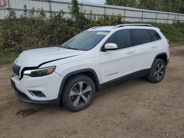 JEEP CHEROKEE L 2019 with VIN 1C4PJMDX9KD232148 - Photo from auction