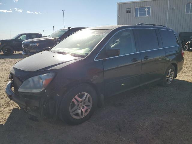 HONDA ODYSSEY EX 2005 with VIN 5FNRL38695B511076 - Photo from auction