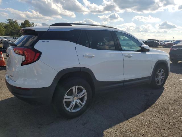 Photo 3 from auction – 2019 GMC TERRAIN SL with VIN 3GKALTEV3KL393861