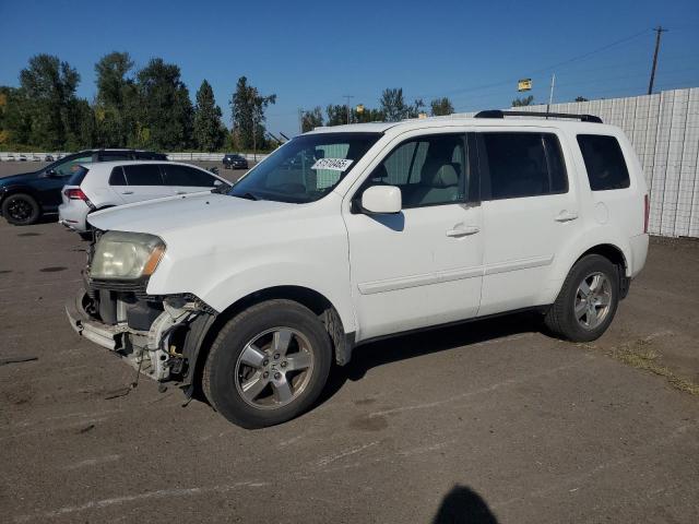 HONDA PILOT EXLN 2011 with VIN 5FNYF3H77BB014065 - Photo from auction