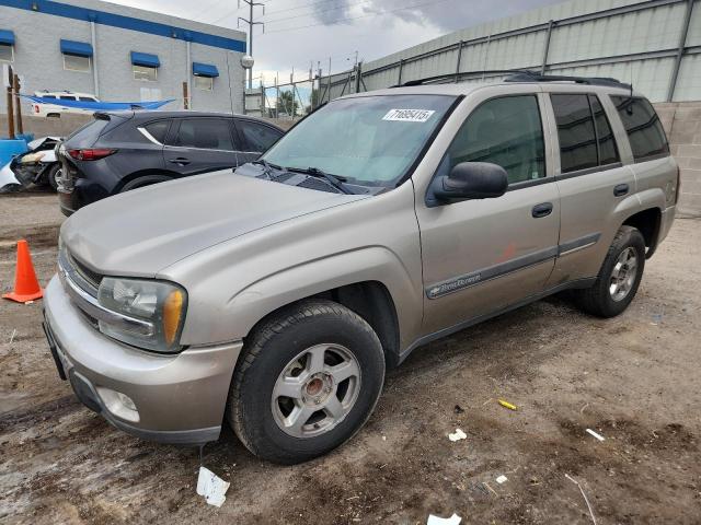 CHEVROLET TRAILBLAZE 2002 with VIN 1GNDS13S722179733 - Photo from auction