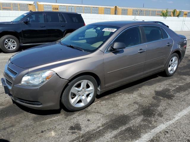 CHEVROLET MALIBU LS 2012 with VIN 1G1ZB5E01CF195575 - Photo from auction