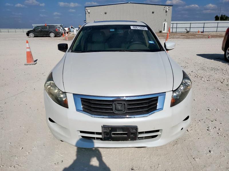 Photo 5 from auction – 2008 HONDA ACCORD EXL with VIN 1HGCP368X8A083595