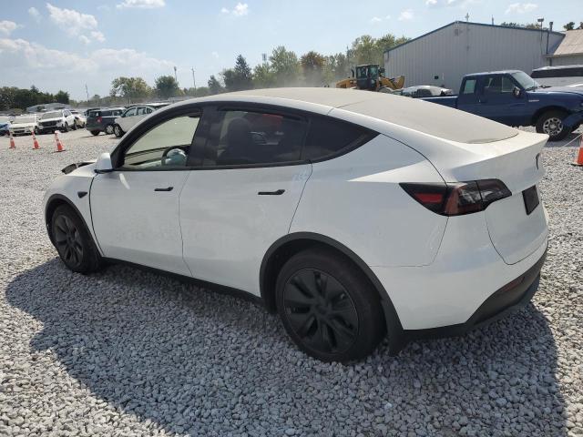 Photo 2 from auction – 2025 TESLA MODEL Y with VIN 7SAYGDEE6SF273106