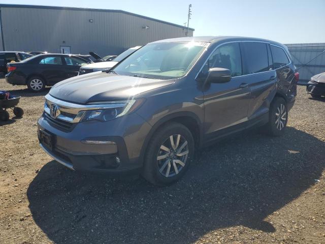 HONDA PILOT EXL 2021 with VIN 5FNYF6H56MB037727 - Photo from auction