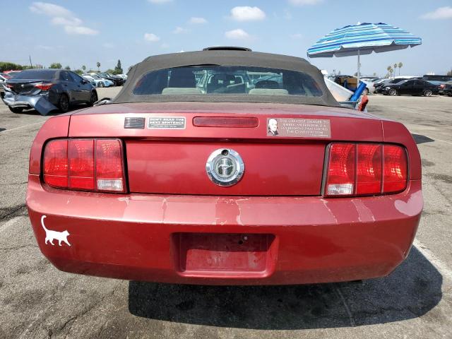 Photo 6 from auction – 2005 FORD MUSTANG with VIN 1ZVFT84N855202842