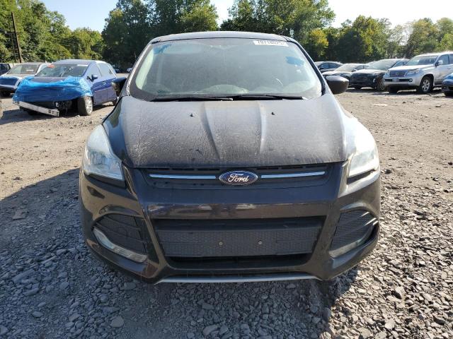 Photo 5 from auction – 2013 FORD ESCAPE SE with VIN 1FMCU0GX1DUD09474