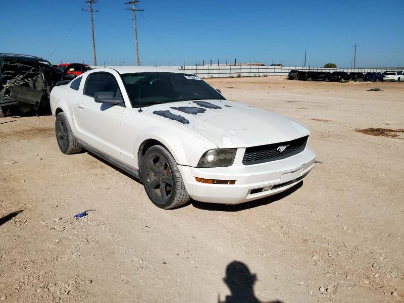 Photo 4 from auction – 2007 FORD MUSTANG with VIN 1ZVFT80N875288095
