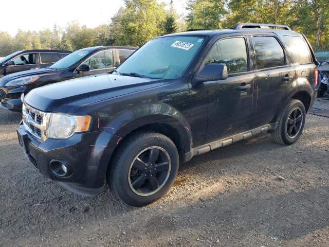 FORD ESCAPE XLT 2010 with VIN 1FMCU9DGXAKC02780 - Photo from auction