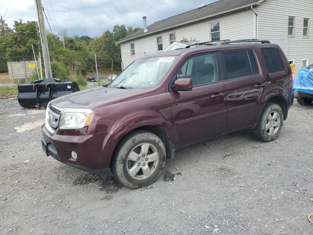 HONDA PILOT EXL 2011 with VIN 5FNYF4H58BB010238 - Photo from auction