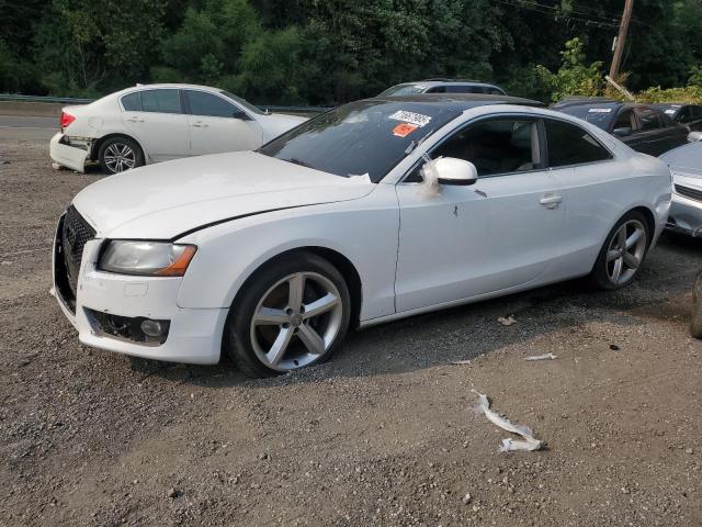 AUDI A5 PREMIUM 2011 with VIN WAUCFAFR9BA024430 - Photo from auction