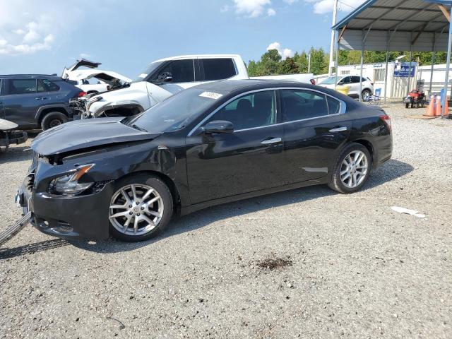 NISSAN MAXIMA S 2009 with VIN 1N4AA51E19C847264 - Photo from auction