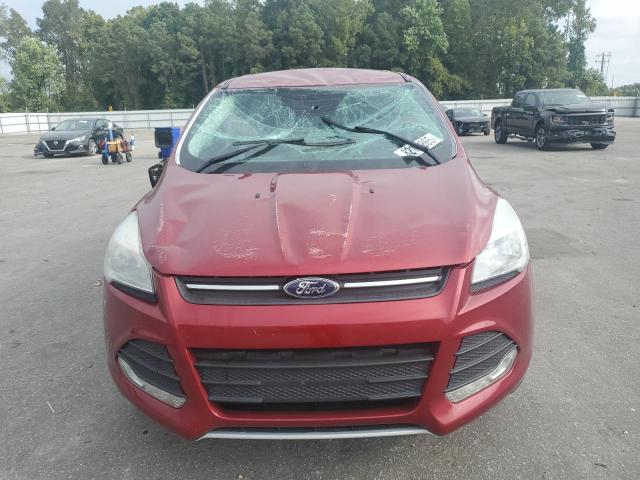 Photo 5 from auction – 2016 FORD ESCAPE SE with VIN 1FMCU0GXXGUA60256