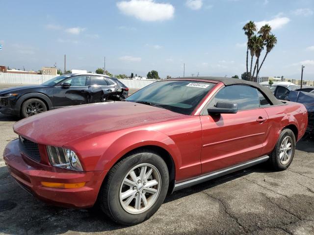 FORD MUSTANG 2005 with VIN 1ZVFT84N855202842 - Photo from auction