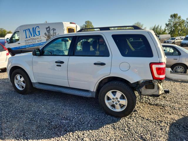 Photo 2 from auction – 2011 FORD ESCAPE XLT with VIN 1FMCU0D77BKA44671