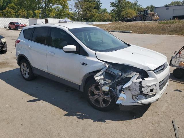 Photo 4 from auction – 2013 FORD ESCAPE SE with VIN 1FMCU9GX6DUC38325
