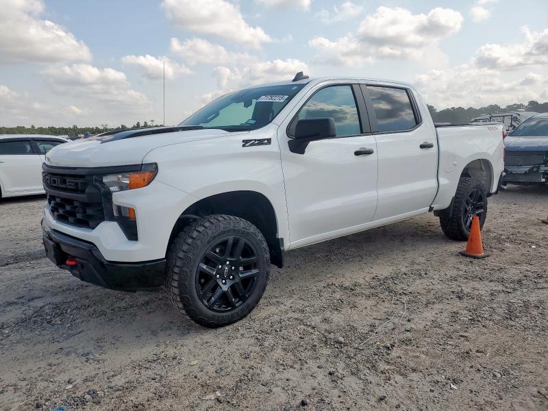 CHEVROLET SILVERADO 2025 with VIN 3GCUKCE88SG249754 - Photo from auction