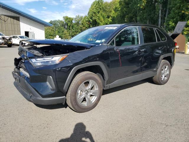 TOYOTA RAV4 LE 2025 with VIN 4T3LWRFV2SU179613 - Photo from auction