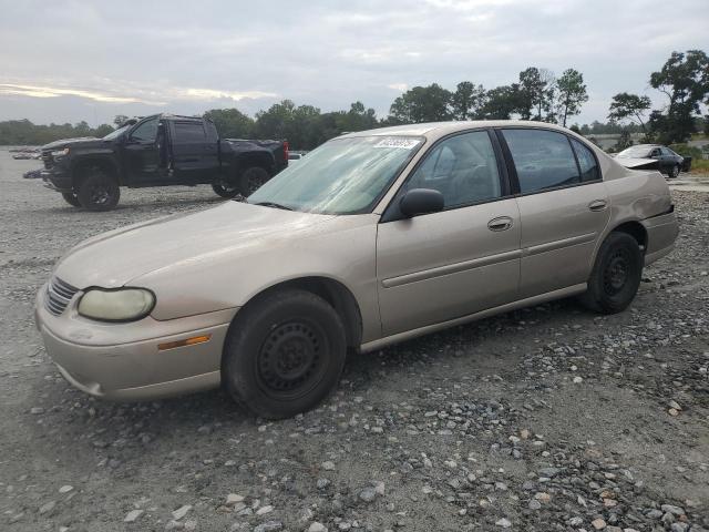 CHEVROLET MALIBU 2000 with VIN 1G1ND52J4Y6234950 - Photo from auction