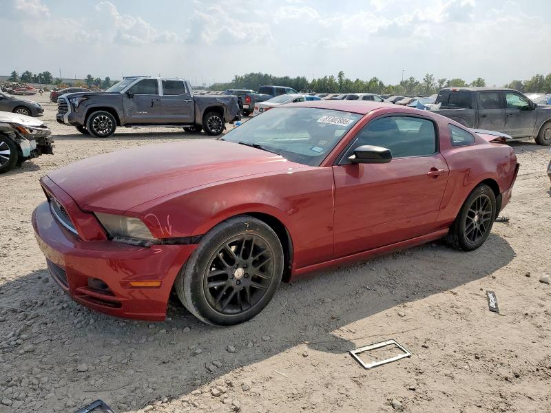 Photo 1 from auction – 2014 FORD MUSTANG with VIN 1ZVBP8AM4E5326475