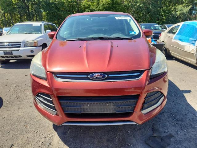 Photo 5 from auction – 2016 FORD ESCAPE SE with VIN 1FMCU9G99GUA41686
