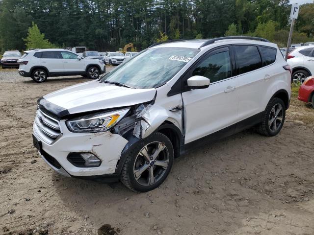 FORD ESCAPE SE 2017 with VIN 1FMCU9G92HUD01735 - Photo from auction