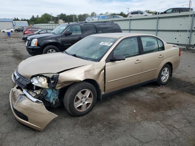 CHEVROLET MALIBU LS 2004 with VIN 1G1ZT54894F223077 - Photo from auction