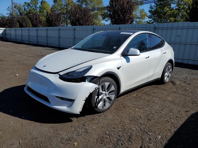 TESLA MODEL Y 2023 with VIN 7SAYGDEE6PA101405 - Photo from auction
