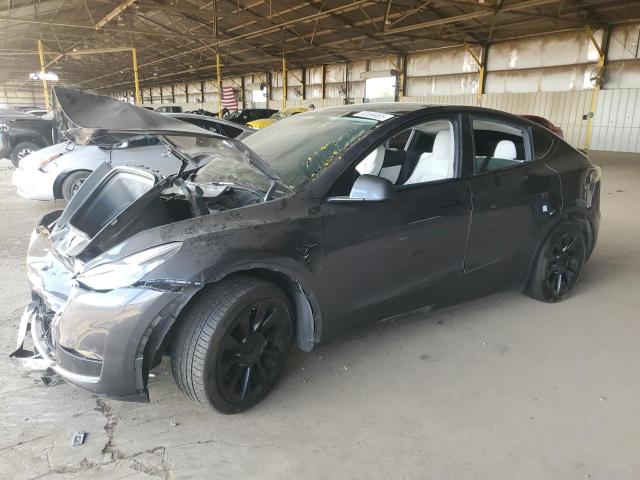 TESLA MODEL Y 2021 with VIN 5YJYGDEE7MF206059 - Photo from auction