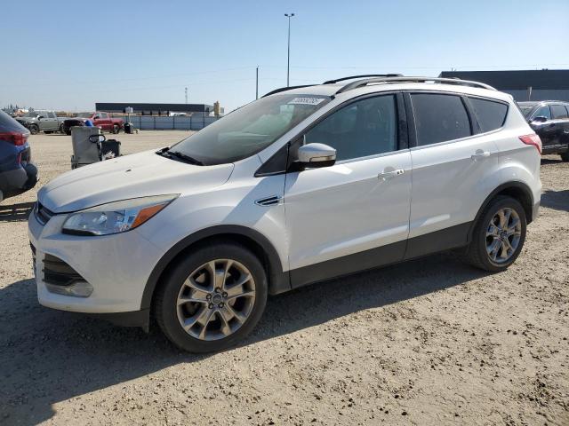 FORD ESCAPE SEL 2013 with VIN 1FMCU9H97DUA15436 - Photo from auction