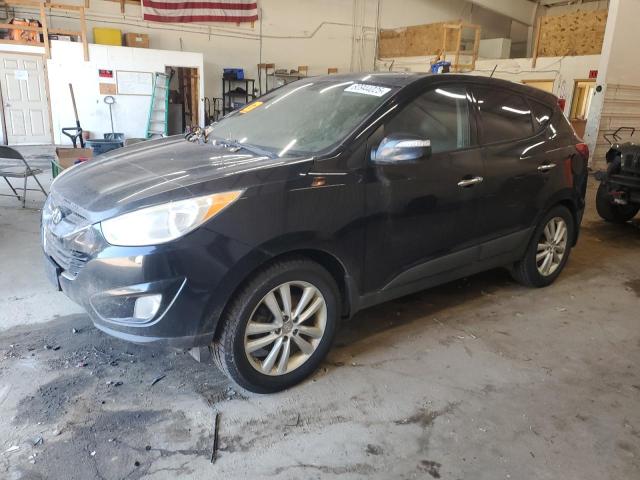 HYUNDAI TUCSON 2013 with VIN KM8JUCAC5DU558603 - Photo from auction