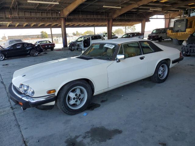 JAGUAR XJS 1984 with VIN SAJNV5845EC113297 - Photo from auction