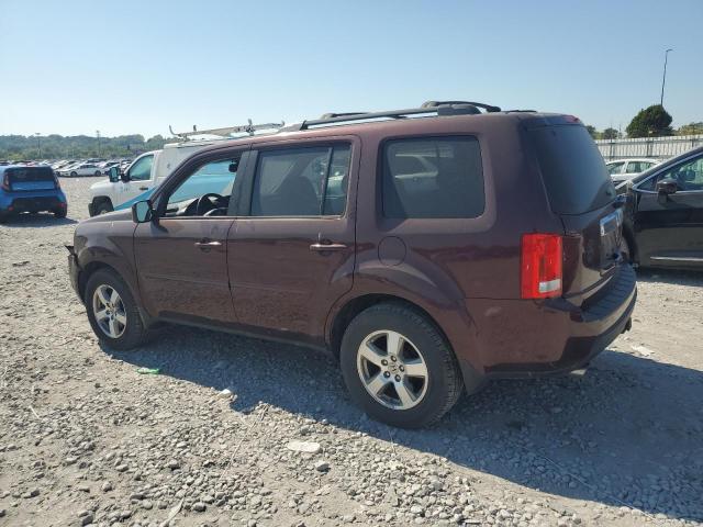 Photo 2 from auction – 2010 HONDA PILOT EXL with VIN 5FNYF4H68AB036233