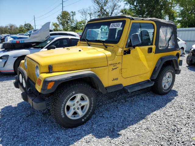 JEEP WRANGLER / 2001 with VIN 1J4FA49S91P315529 - Photo from auction