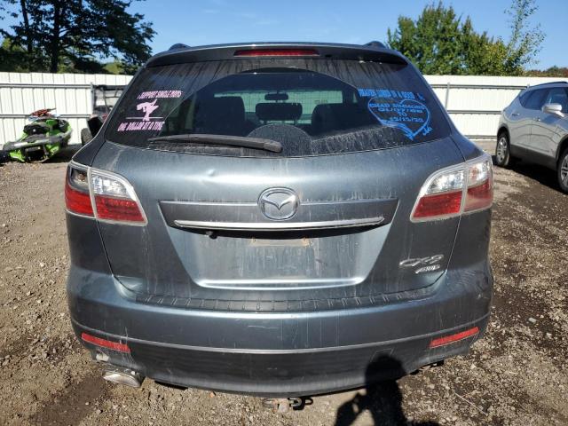 Photo 6 from auction – 2010 MAZDA CX-9 with VIN JM3TB3MV5A0215526