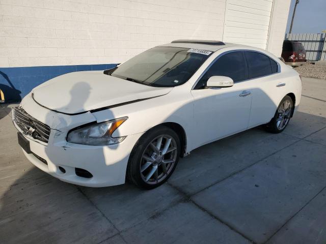 NISSAN MAXIMA S 2010 with VIN 1N4AA5AP4AC813485 - Photo from auction