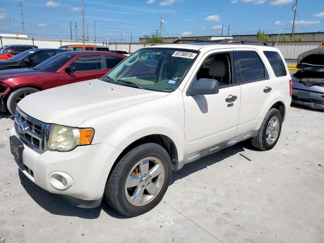 FORD ESCAPE XLT 2010 with VIN 1FMCU0DG2AKB22014 - Photo from auction