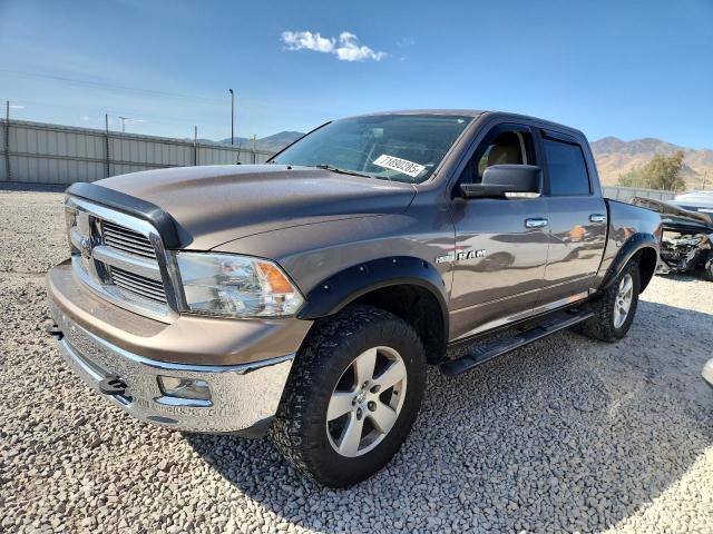 DODGE RAM 1500 2009 with VIN 1D3HV13T69S813335 - Photo from auction