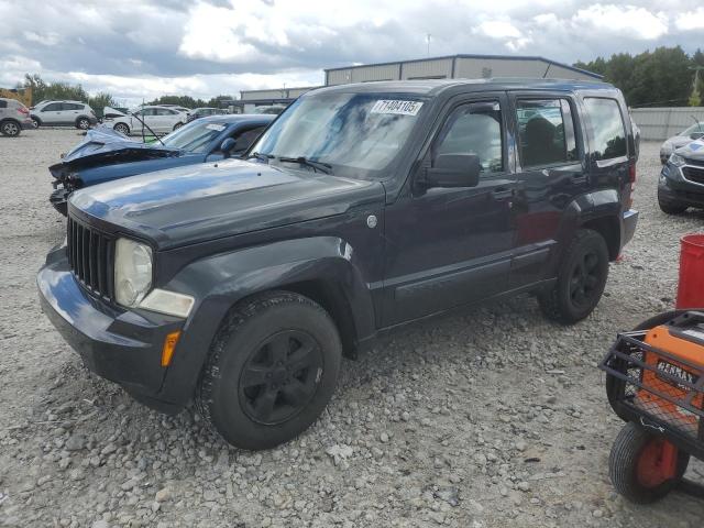 JEEP LIBERTY SP 2011 with VIN 1J4PN2GK6BW567553 - Photo from auction