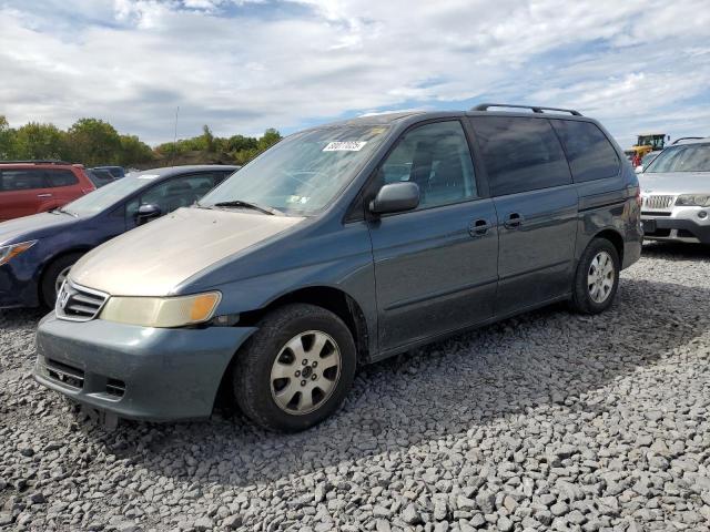 HONDA ODYSSEY EX 2003 with VIN 5FNRL18073B146068 - Photo from auction